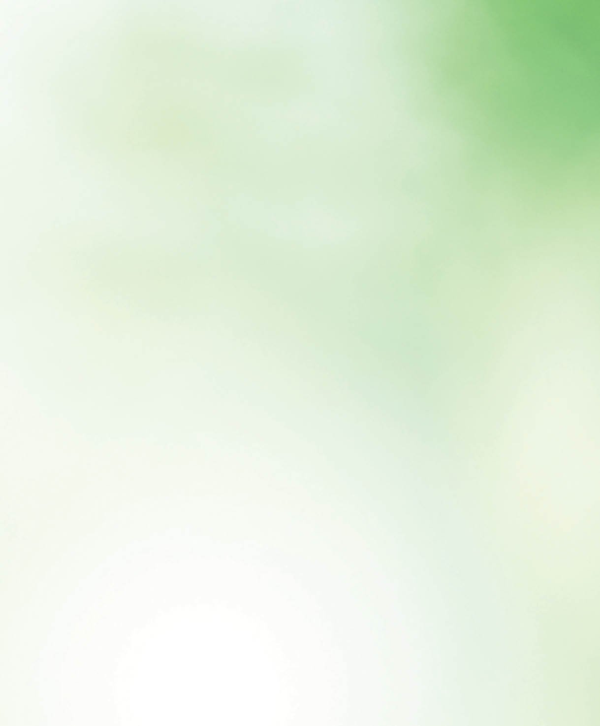 Green leaves blur and blurred light bokeh. Abstract background and beautiful backdrop.