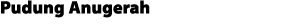 Pudung Anugerah