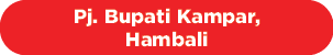 Pj. Bupati Kampar, Hambal