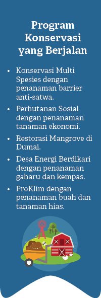 • Konservasi Multi Spesies dengan penanaman barrier anti satwa. • Perhutanan Sosial dengan penanaman tanaman ekonomi....