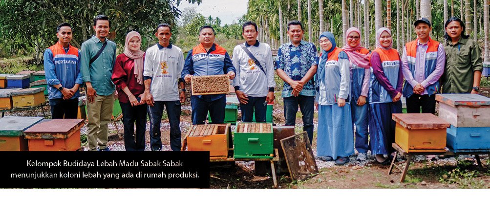Kelompok Budidaya Lebah Madu Sabak Sabak menunjukkan koloni lebah yang ada di rumah produksi.