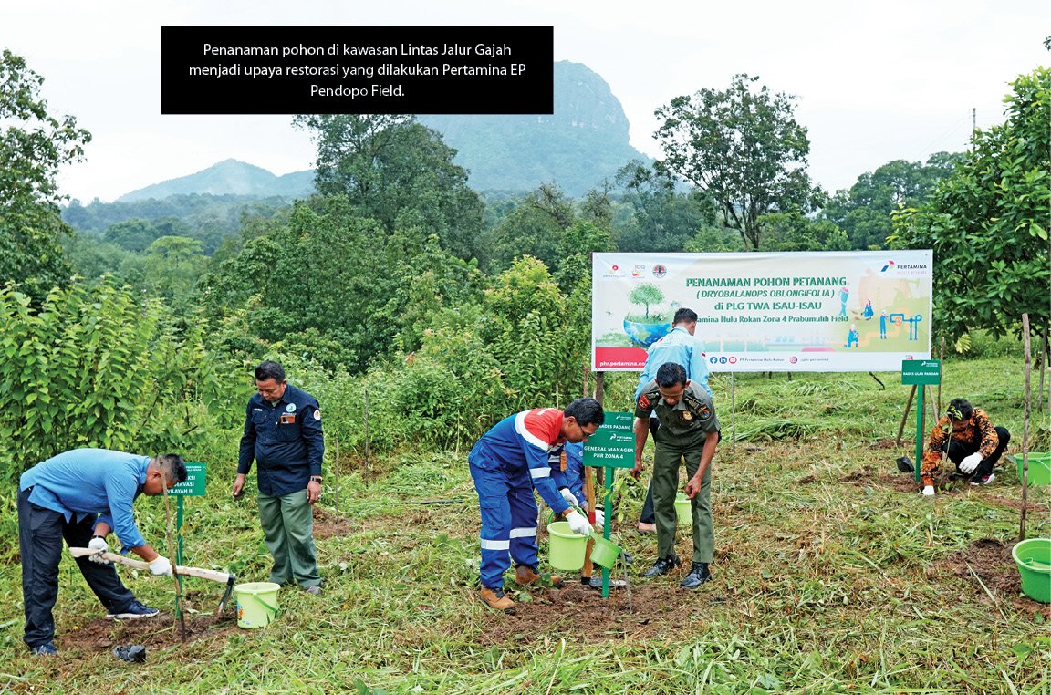 Penanaman pohon di kawasan Lintas Jalur Gajah menjadi upaya restorasi yang dilakukan Pertamina EP Pendopo Field