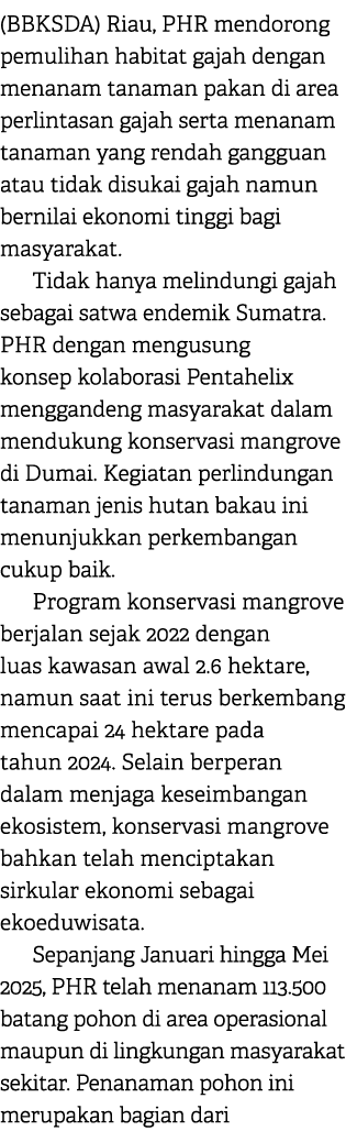 (BBKSDA) Riau, PHR mendorong pemulihan habitat gajah dengan menanam tanaman pakan di area perlintasan gajah serta men...