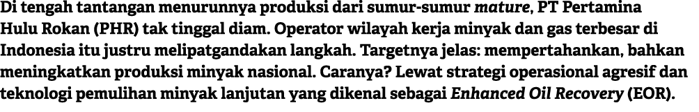 Di tengah tantangan menurunnya produksi dari sumur sumur mature, PT Pertamina Hulu Rokan (PHR) tak tinggal diam. Oper...