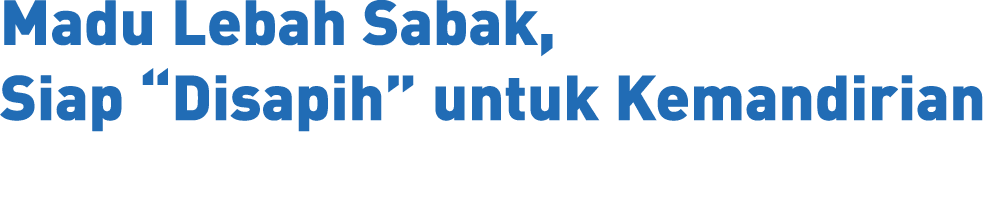 Madu Lebah Sabak, Siap “Disapih” untuk Kemandirian