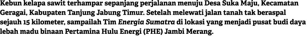 Kebun kelapa sawit terhampar sepanjang perjalanan menuju Desa Suka Maju, Kecamatan Geragai, Kabupaten Tanjung Jabung ...