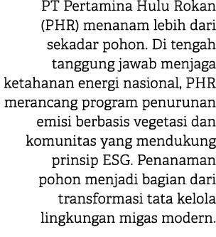 PT Pertamina Hulu Rokan (PHR) menanam lebih dari sekadar pohon. Di tengah tanggung jawab menjaga ketahanan energi nas...