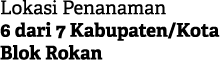 Lokasi Penanaman 6 dari 7 Kabupaten/Kota Blok Rokan