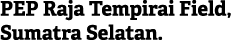 PEP Raja Tempirai Field, Sumatra Selatan.