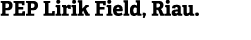 PEP Lirik Field, Riau.
