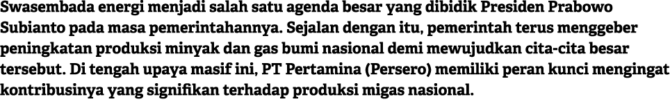 Swasembada energi menjadi salah satu agenda besar yang dibidik Presiden Prabowo Subianto pada masa pemerintahannya. S...