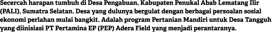 Secercah harapan tumbuh di Desa Pengabuan, Kabupaten Penukal Abab Lematang Ilir (PALI), Sumatra Selatan. Desa yang du...