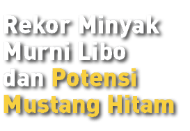 Rekor Minyak Murni Libo dan Potensi Mustang Hitam 