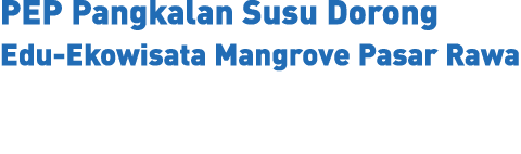 PEP Pangkalan Susu Dorong Edu Ekowisata Mangrove Pasar Rawa 