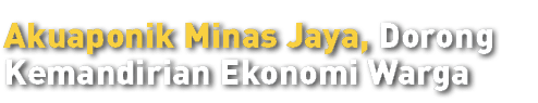 Akuaponik Minas Jaya, Dorong Kemandirian Ekonomi Warga 