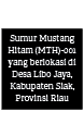 Sumur Mustang Hitam (MTH) 001 yang berlokasi di Desa Libo Jaya, Kabupaten Siak, Provinsi Riau