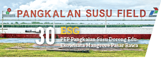 PEP Pangkalan Susu Dorong Edu Ekowisata Mangrove Pasar Rawa,30,ES