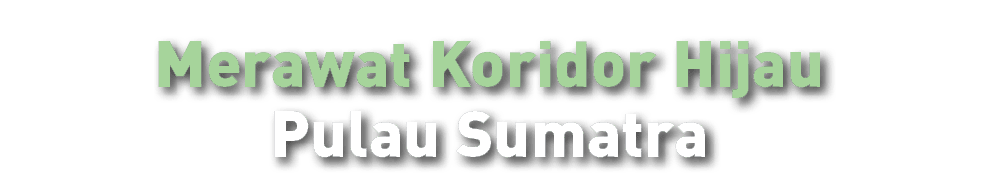 Merawat Koridor Hijau Pulau Sumatra