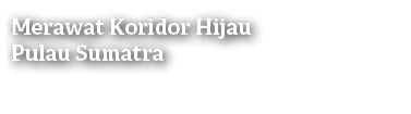 Merawat Koridor Hijau Pulau Sumatra