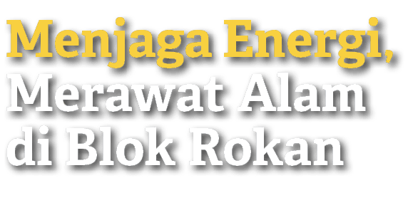 Menjaga Energi, Merawat Alam di Blok Rokan