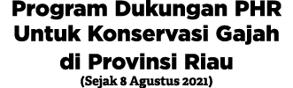 Program Dukungan PHR Untuk Konservasi Gajah di Provinsi Riau (Sejak 8 Agustus 2021) 