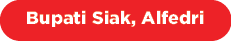 Bupati Siak, Alfedr