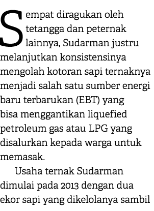 Sempat diragukan oleh tetangga dan peternak lainnya, Sudarman justru melanjutkan konsistensinya mengolah kotoran sapi...