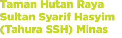 Taman Hutan Raya Sultan Syarif Hasyim (Tahura SSH) Minas