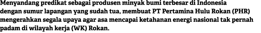 Menyandang predikat sebagai produsen minyak bumi terbesar di Indonesia dengan sumur lapangan yang sudah tua, membuat ...