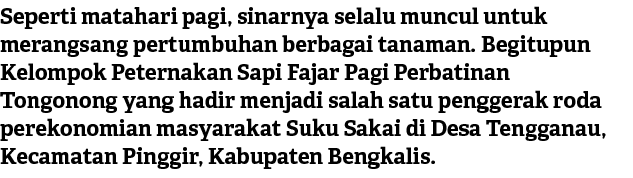 Seperti matahari pagi, sinarnya selalu muncul untuk merangsang pertumbuhan berbagai tanaman. Begitupun Kelompok Peter...