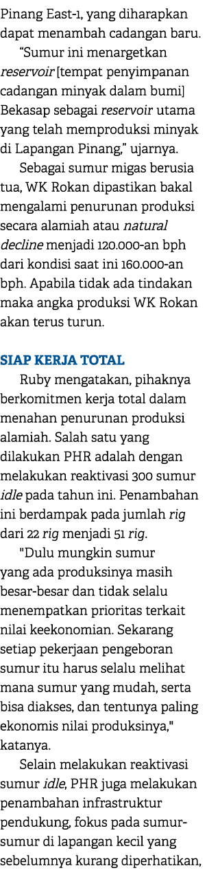 Pinang East 1, yang diharapkan dapat menambah cadangan baru. “Sumur ini menargetkan reservoir [tempat penyimpanan cad...