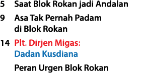5 Saat Blok Rokan jadi Andalan 9 Asa Tak Pernah Padam di Blok Rokan 14 Plt. Dirjen Migas: Dadan Kusdiana Peran Urgen ...