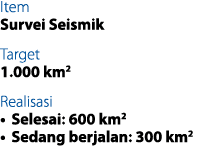 Item Survei Seismik Target 1.000 km2 Realisasi • Selesai: 600 km2 • Sedang berjalan: 300 km2 